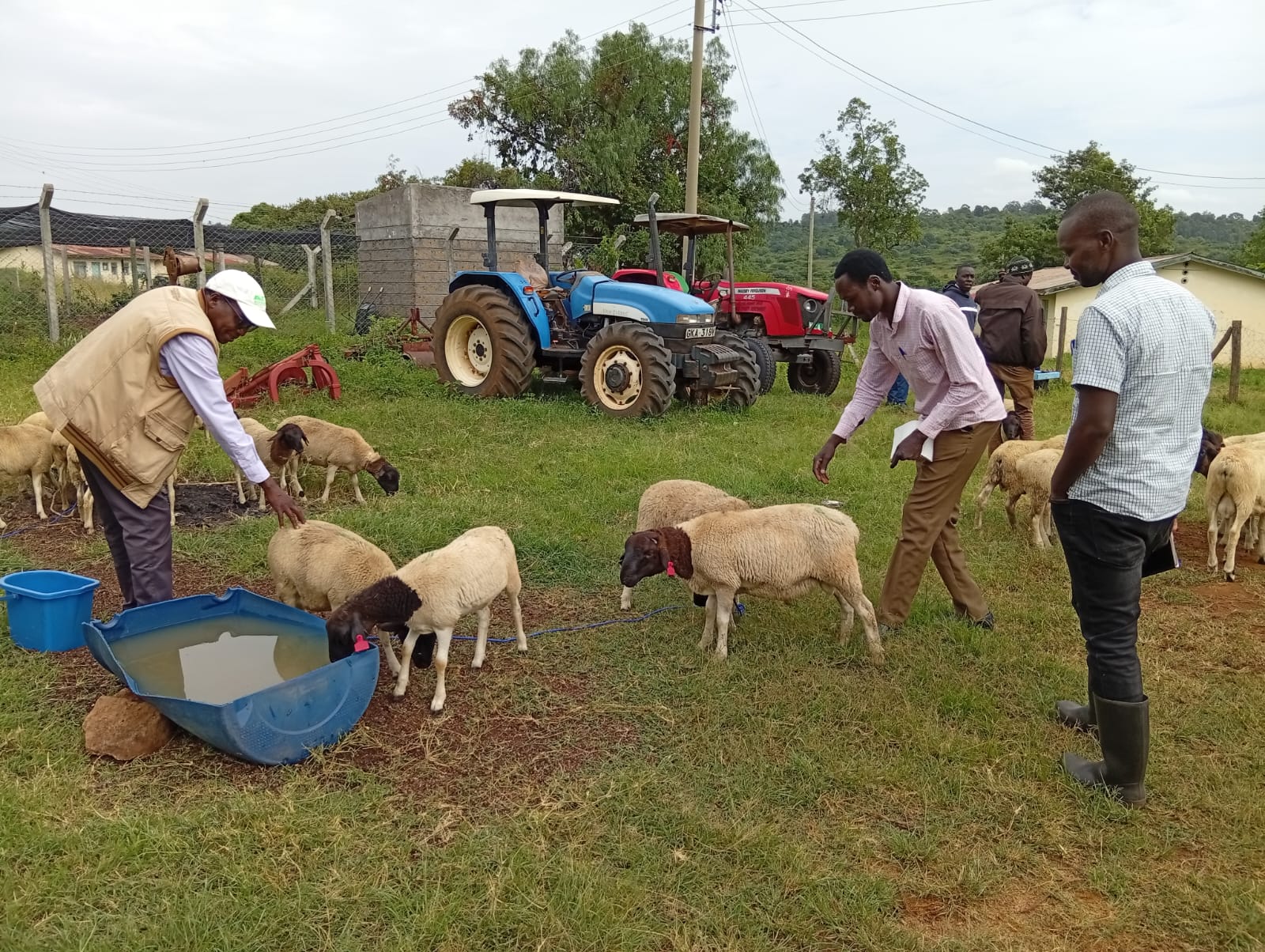 WhatsApp Image 2025-07-24 at 10.11.39 PM