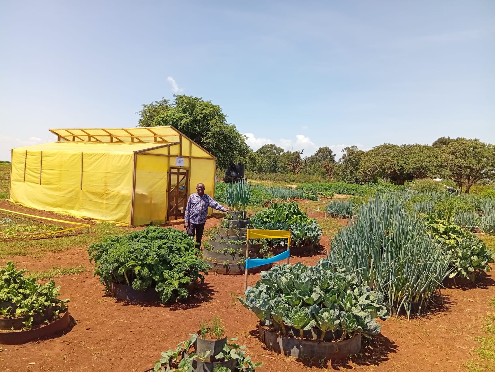 WhatsApp Image 2025-07-24 at 10.11.46 PM