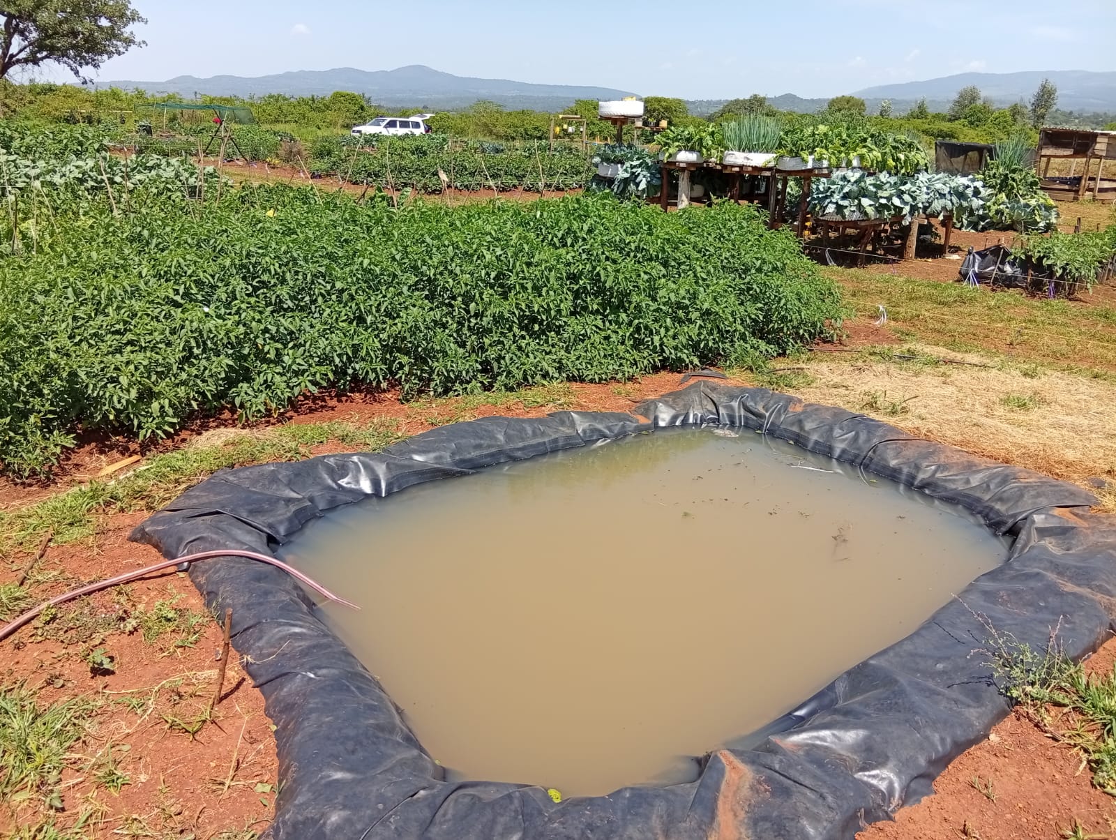 WhatsApp Image 2025-07-24 at 10.11.48 PM