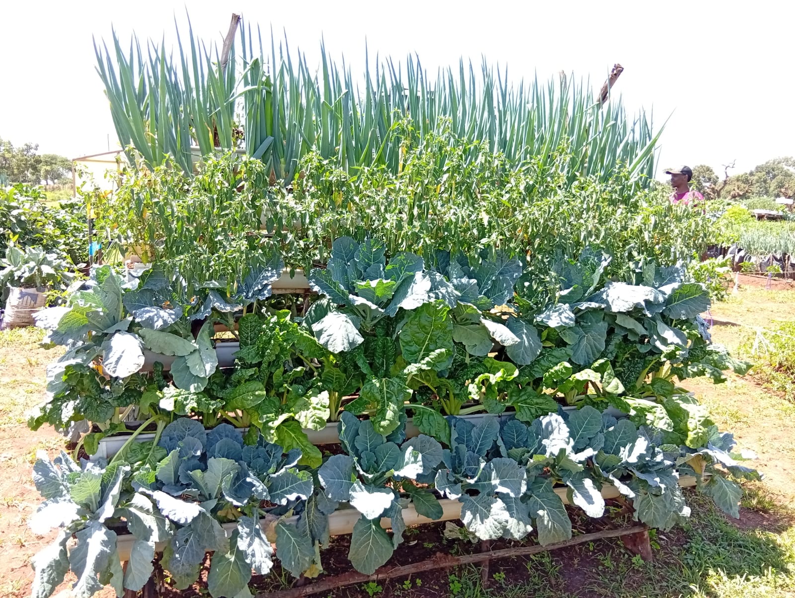 WhatsApp Image 2025-07-24 at 10.11.51 PM (2)