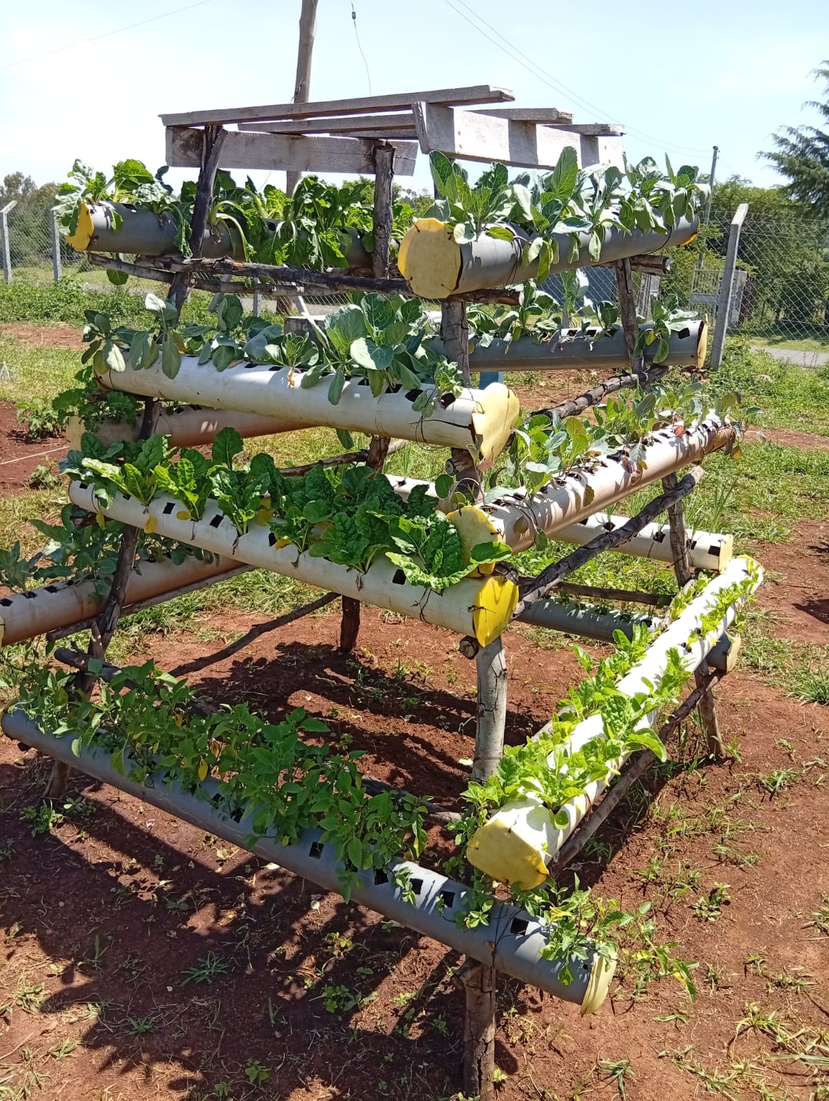 WhatsApp Image 2025-07-24 at 10.11.51 PM