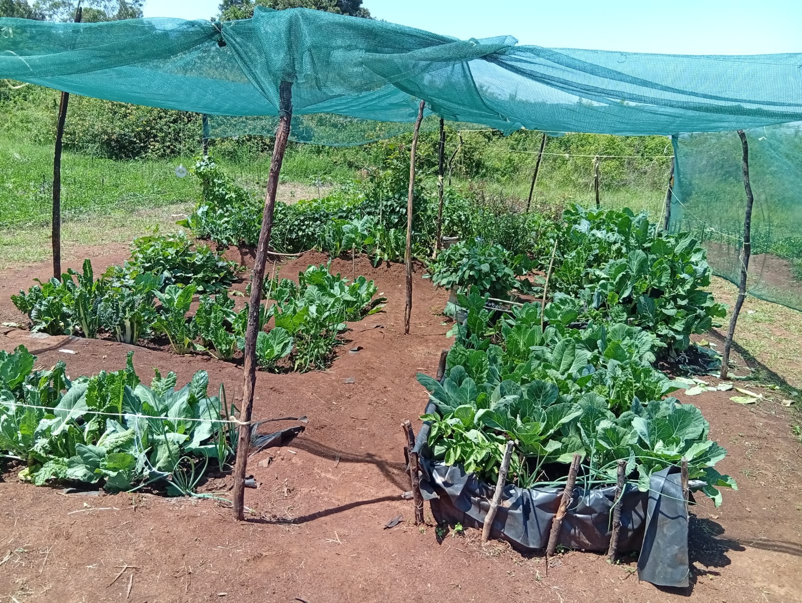 WhatsApp Image 2025-07-24 at 10.11.52 PM (1)