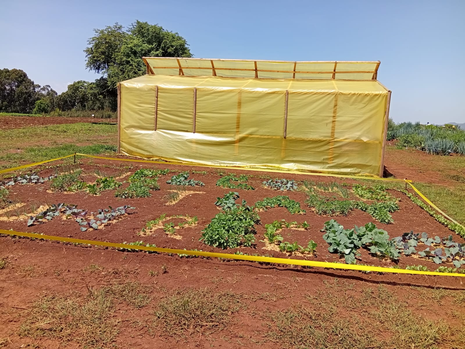 WhatsApp Image 2025-07-24 at 10.11.52 PM