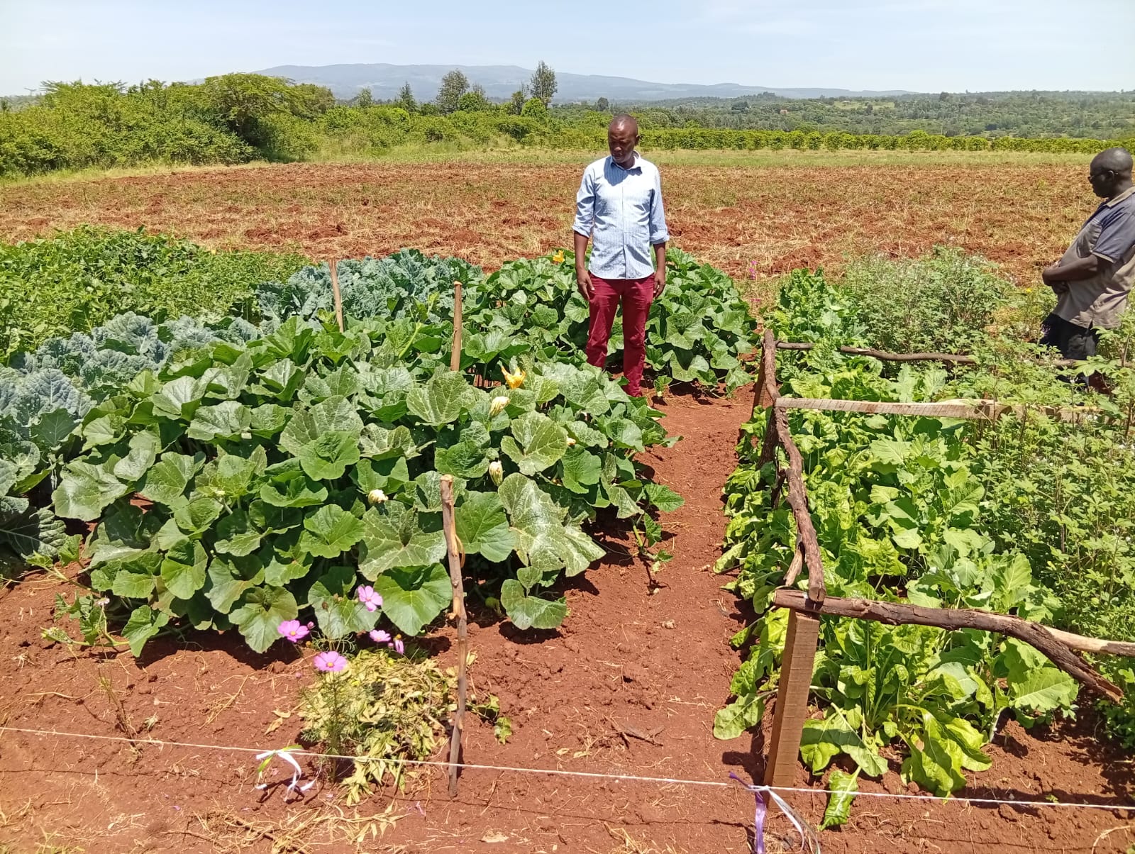 WhatsApp Image 2025-07-24 at 10.11.53 PM (1)