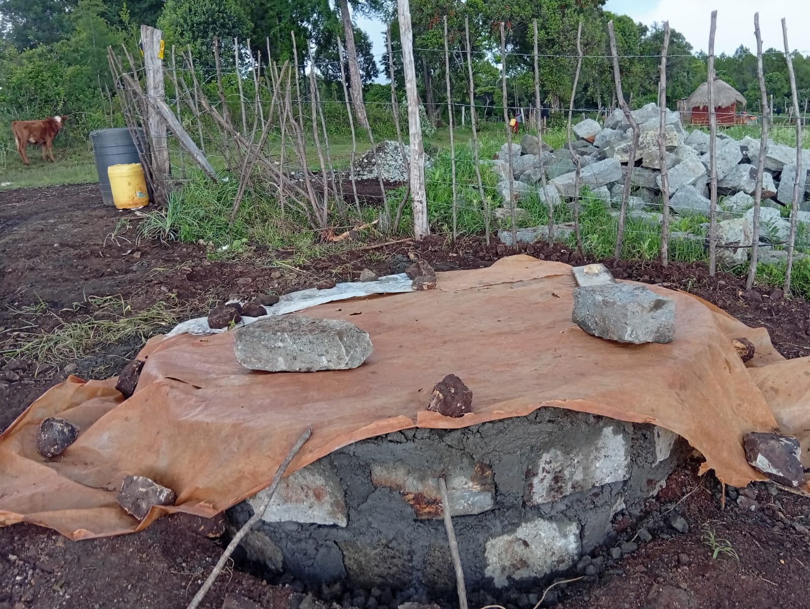 WhatsApp Image 2025-07-24 at 10.11.54 PM (1)