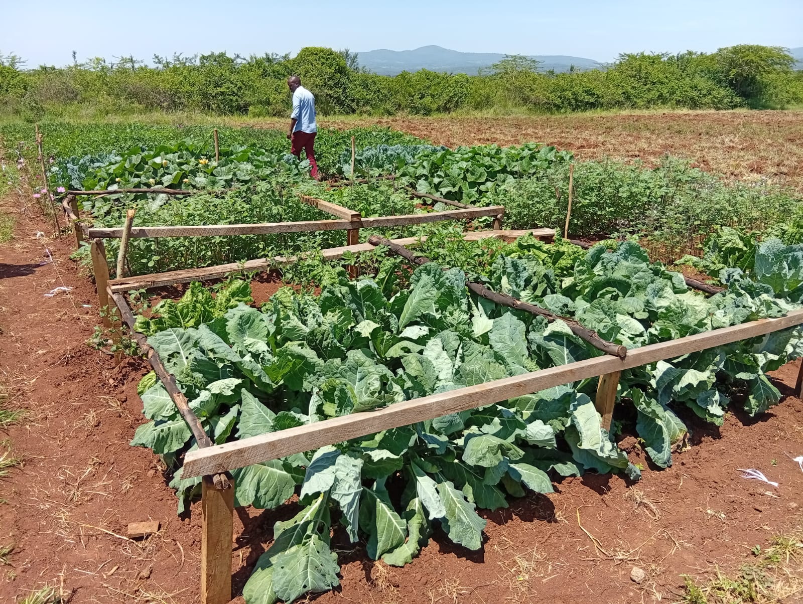 WhatsApp Image 2025-07-24 at 10.11.55 PM