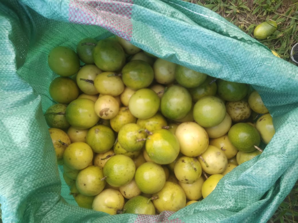 WhatsApp Image 2025-07-24 at 10.12.02 PM (2)