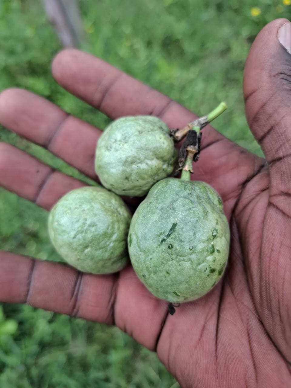 WhatsApp Image 2025-07-24 at 10.12.02 PM