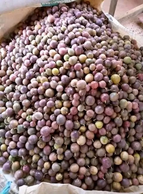 WhatsApp Image 2025-07-24 at 10.12.04 PM