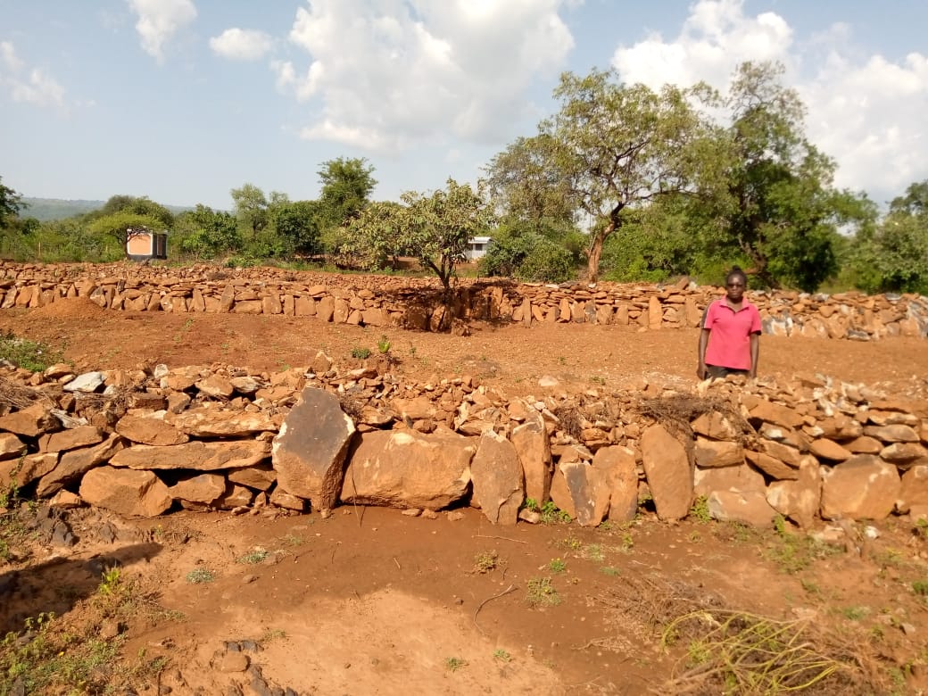 WhatsApp Image 2025-07-25 at 12.22.05 AM