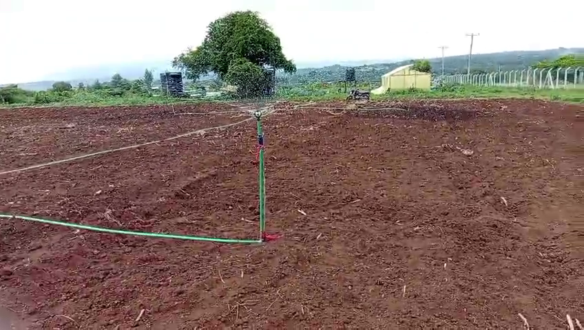 vlcsnap-2025-07-30-17h42m29s139